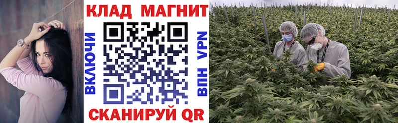 Виды наркоты Воткинск БУТИРАТ  Меф  Гашиш  Амфетамин  Каннабис  Alpha-PVP 