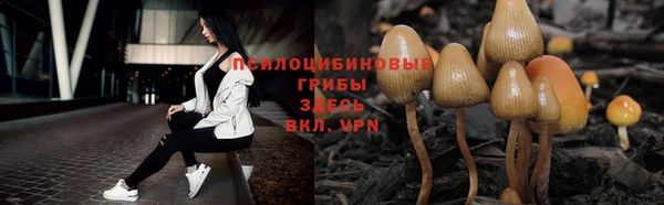 прущие крисы Верхний Тагил